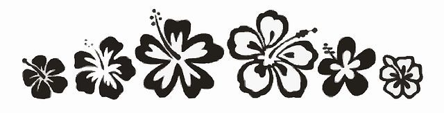 Plümeria-Blüten (auch Frangipani genannt) - schwarze Zeichnungen nebeneinander