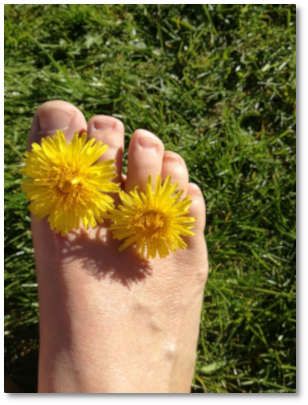 Ein Fuß mit Löwenzahnblüten zwischen den Zehen